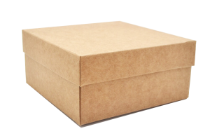 cutii-carton-cu-capac
